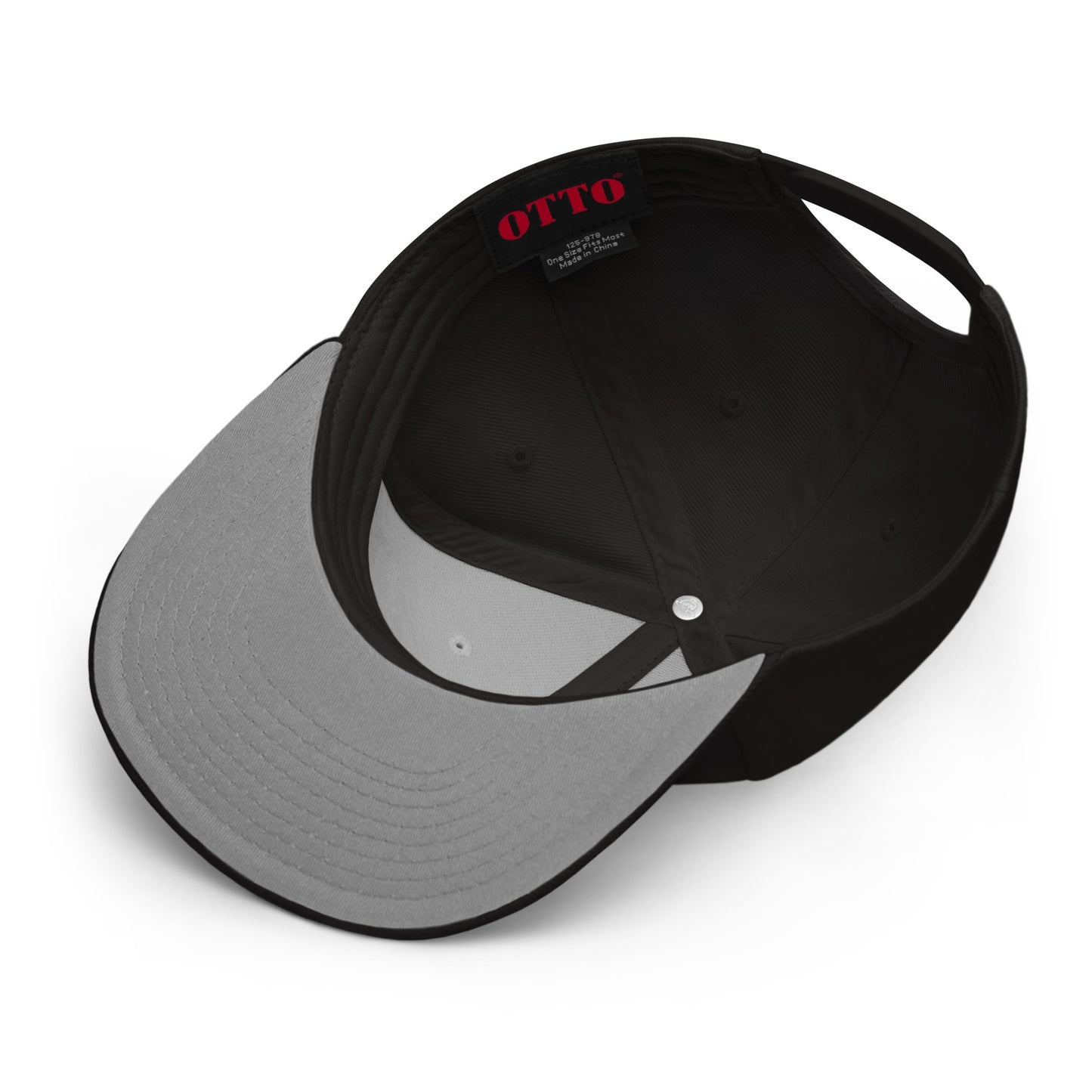 Ronin - Snapback Hat